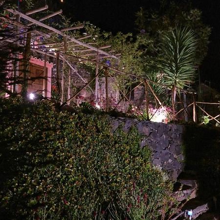 Villa Ga281 Funchal  Esterno foto