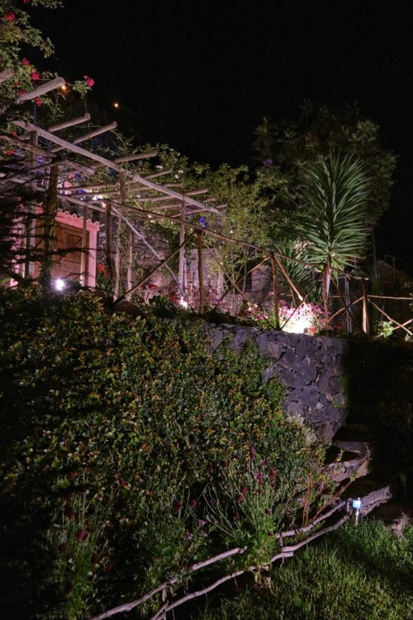 Villa Ga281 Funchal  Esterno foto