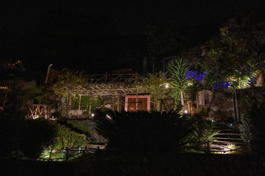 Villa Ga281 Funchal  Esterno foto