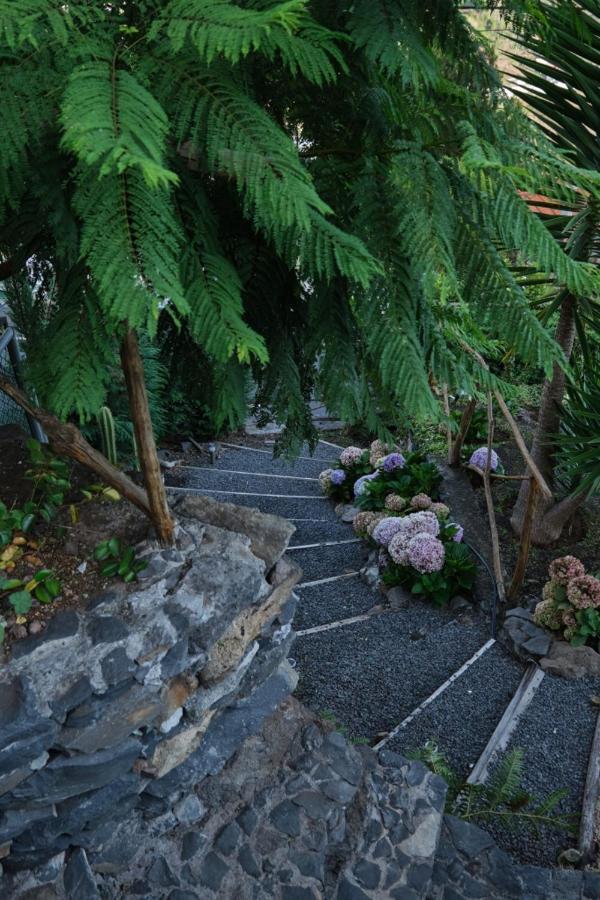 Villa Ga281 Funchal  Esterno foto